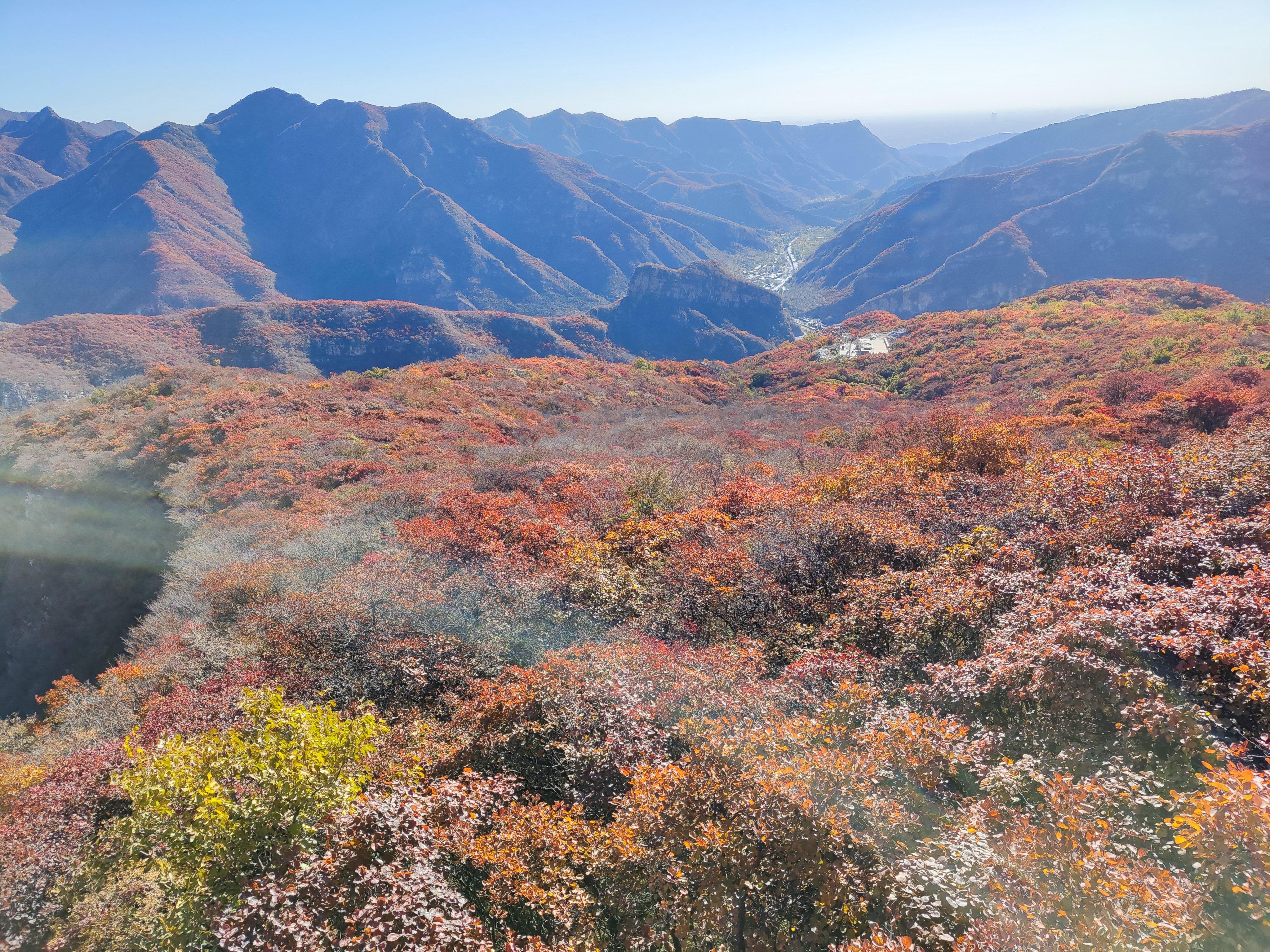 醉美(měi)坡峰嶺 登山賞紅葉